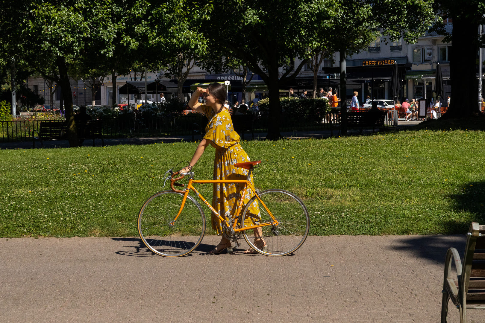 IMG 6607